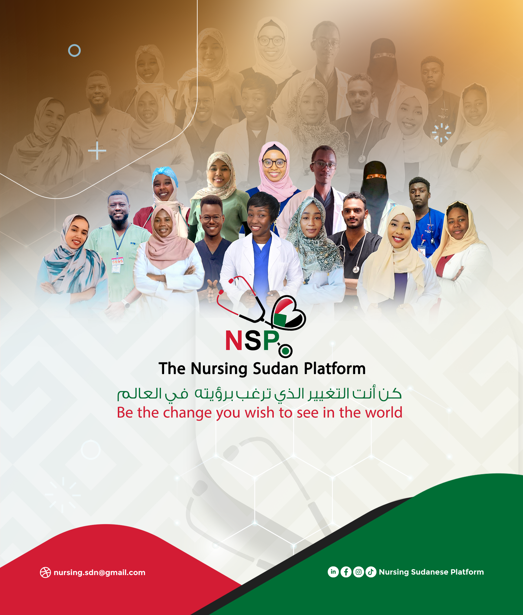 The Nursing Sudan Platform 